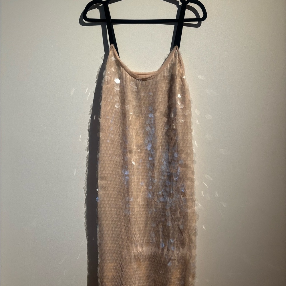 Zara Beige Sequin Dress